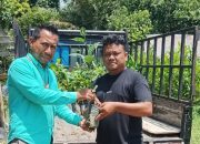 Dinas Lingkungan Hidup dan Kehutanan (DLHK) Provinsi Sumatera Utara Menyumbangkan 100 Bibit Pohon Buah melalui ADA Research Center